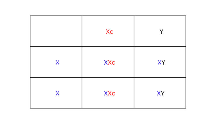 Punnet square 2