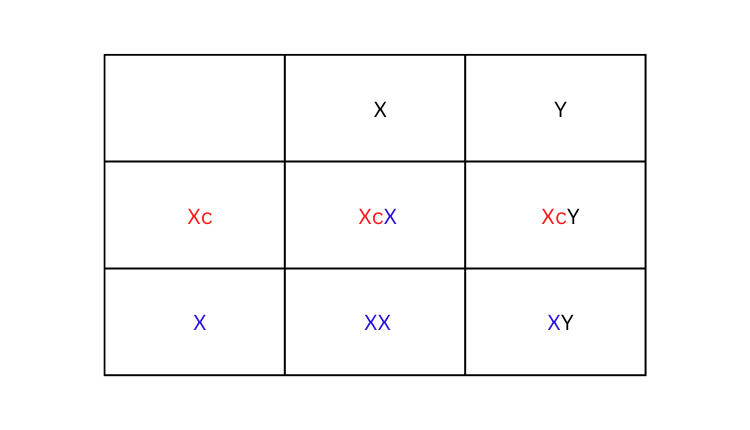 Punnet square 3