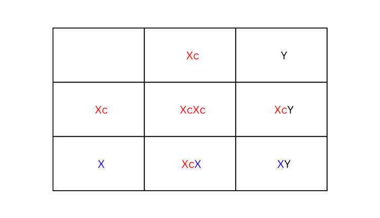 Punnet square 4